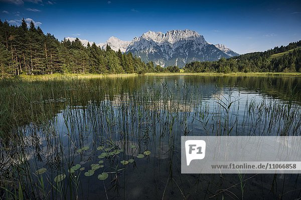 Luttensee  bei Mittenwald  hinten Karwendelgebirge  Werdenfelser Land  Oberbayern  Bayern  Deutschland  Europa