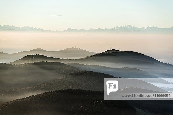 Ausblick vom Belchen Richtung Süden ins Wiesental und auf die Schweizer Alpen  Morgenstimmung mit Nebel  Schwarzwald  Baden-Württemberg  Deutschland  Europa