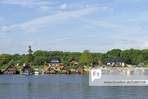 Bootshäuser  Ferienhäuser am Mirower See  bei Mirow  Mecklenburgische Seenplatte  Mecklenburg-Vorpommern  Deutschland  Europa