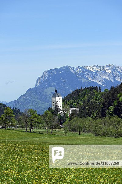 Mariastein mit Wallfahrtskirche und Bergfried  bei Kufstein  Inntal  Tirol  Österreich  Europa