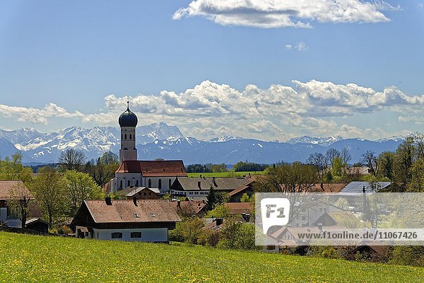 Pfarrkirche Mariä Himmelfahrt vor dem Wetterstein mit der Zugspitze  Münsing  Oberbayern  Bayern  Deutschland  Europa