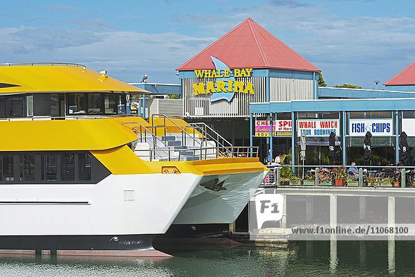 Bootshafen  Urangan  Hervey Bay  Queensland  Australien  Ozeanien