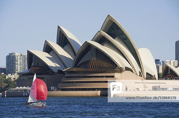 Segelboot vor Sydney Opera House  Opernhaus  Oper  Sydney  New South Wales  Australien  Ozeanien
