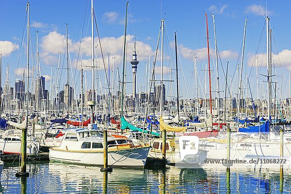 Yachten bei Westhaven Marina und Skyline  Auckland  Nordinsel  Neuseeland  Ozeanien