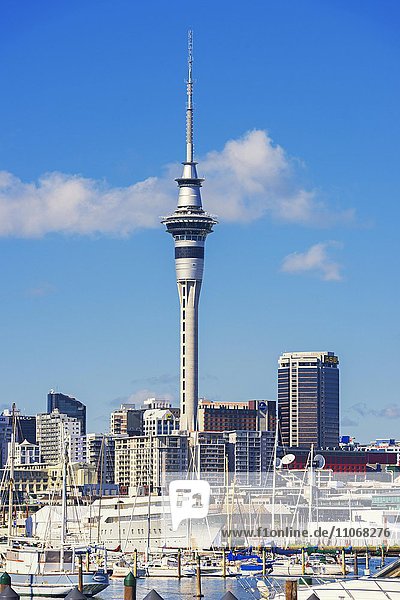 Sky Tower und Hafen  Auckland  Nordinsel  Neuseeland  Ozeanien