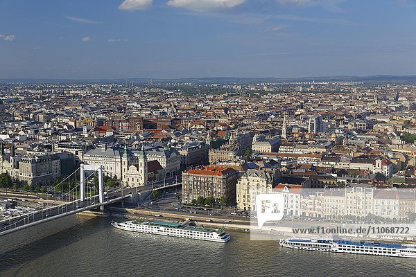 View of city from citadel  Pest  Elisabeth Bridge  Budapest  Hungary  Europe