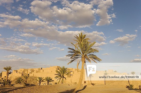 Ksour  befestigte Siedlungen mit Dattelpalmen (Phoenix dactylifera) in der Nähe von Rissani  Oasen von Tafilalet an der Grenze zur Wüste  Südost-Marokko  Marokko  Afrika