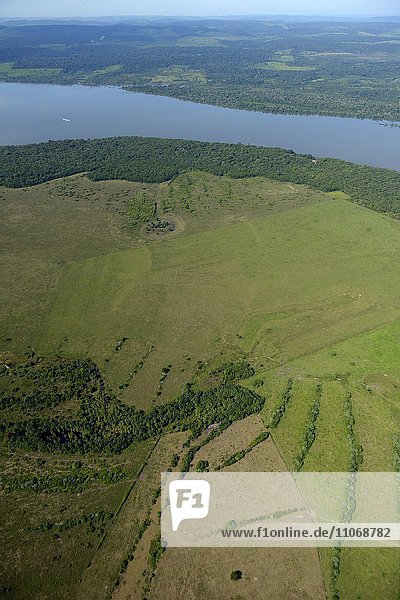 Luftbild  großflächige Rodung zur Gewinnung von Viehweiden  Amazonas-Regenwald am Rio Tapajos  District Itaituba  Bundesstaat Para  Brasilien  Südamerika