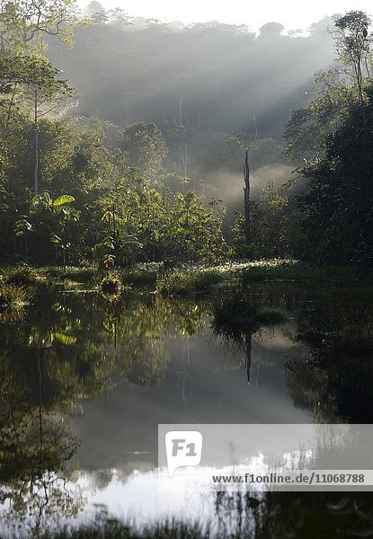 Kleiner See im Morgenlicht  Amazonas-Regenwald zwischen Itaituba und Pimental  Bundesstaat Pará  Brasilien  Südamerika