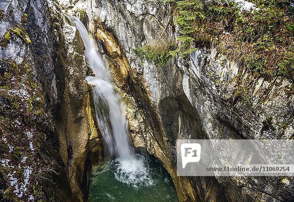 Tatzelwurm-Wasserfall  Obere Stufe  Mangfallgebirge  Oberaudorf  Oberbayern  Bayern  Deutschland  Europa