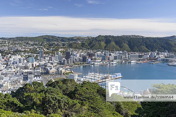 Stadtansicht  Ausblick vom Mt. Viktoria auf Citycenter und Hafen von Wellington  Nordinsel  Neuseeland  Ozeanien