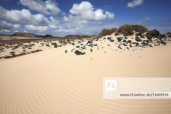 Sand dunes  wandering dunes El Jable  Las Dunas de Corralejo  southern part of ??the Corralejo Natural Park  Fuerteventura  Canary Islands  Spain  Europe