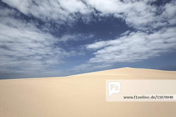 Sanddünen unter blauem Himmel mit Wolken  Wanderdünengebiet El Jable  Las Dunas de Corralejo  Parque Natural de Corralejo  Fuerteventura  Kanarische Inseln  Spanien  Europa
