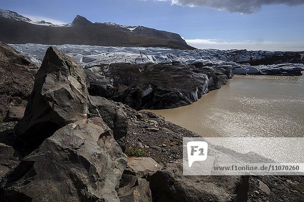 Gletschereis  Gletscherzunge mit Spuren von Vulkanasche und Gletschersee  Gletscher Svínafellsjökull  bei Skaftafell  Südisland  Island  Europa