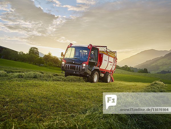 Transporter Unitrac mit Heuladewagen nimmt das getrocknete Gras auf  Hopfgarten  Brixental  Tirol  Österreich  Europa