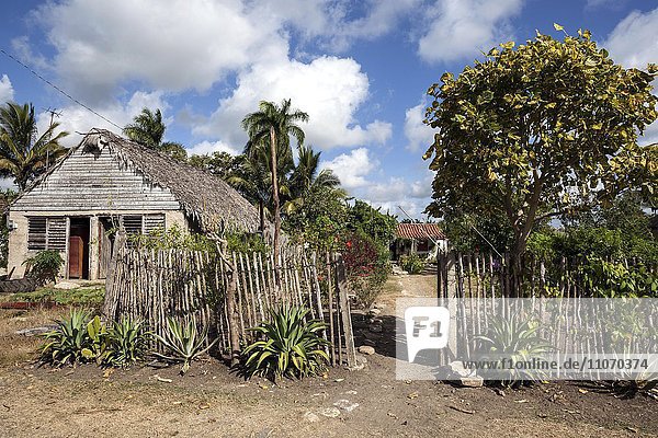 Typisches ländliches Anwesen  Holzhaus  Bauernhaus bei Camagüey  Provinz Camagüey  Kuba  Nordamerika