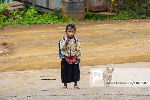 Kleines Mädchen mit Hund auf der Straße  Luang Prabang  Louangphabang  Laos  Asien