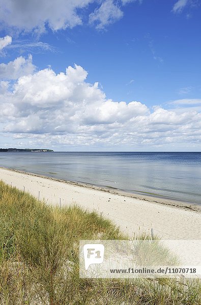 Strand und Ostsee bei Lobbe  Gemeinde Middelhagen  Halbinsel Mönchgut  Ostsee  Insel Rügen  Mecklenburg-Vorpommern  Deutschland  Europa
