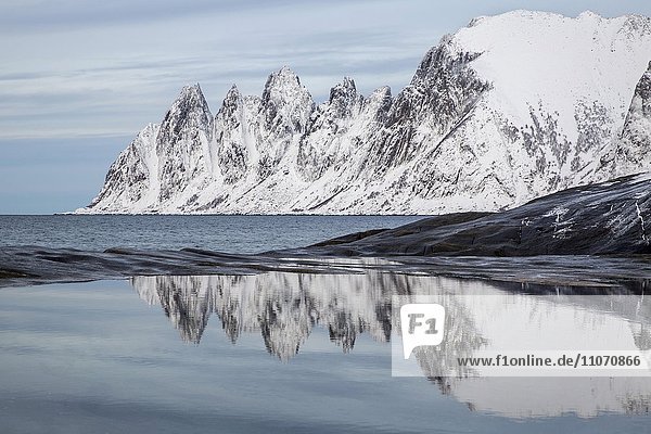 Coastline Tungeneset  Devil's Teeth  rocks of the Okshornan mountain range  Senja  Troms  Norway  Scandinavia  Europe