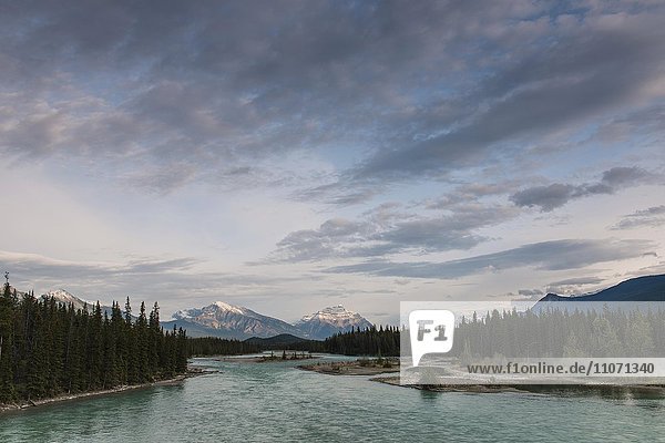 Mount Hardisty and Mount Kerkeslin with Athabasca River  View of the Icefields Parkway highway  Jasper National Park  Alberta Province  Canada  North America
