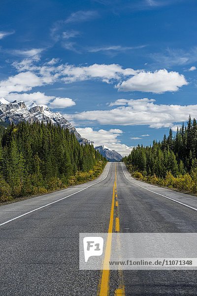 Highway Icefields Parkway  Highway 93  Canadian Rockies  Alberta Province  Canada  North America