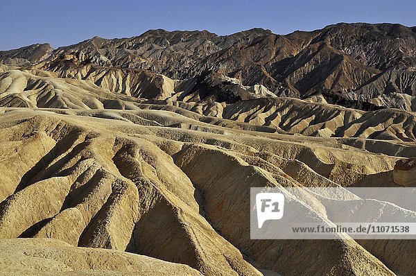 Erosionslandschaft am Zabriskie Point  Death-Valley-Nationalpark  Kalifornien  USA  Nordamerika