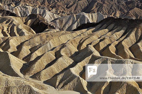 Erosionslandschaft am Zabriskie Point  Death-Valley-Nationalpark  Kalifornien  USA  Nordamerika