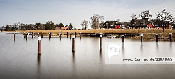 Bootsanlegestelle  Hafen von Prerow  Fischland-Darß-Zingst  Nationalpark Vorpommersche Boddenlandschaft  Mecklenburg-Vorpommern  Deutschland  Europa