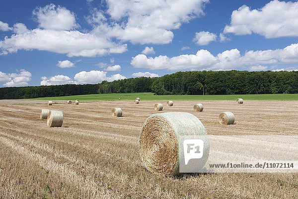 Heuballen auf Stoppelfeld im Sommer mit Cumulus Wolken  Schwäbische Alb  Baden Württemberg  Deutschland  Europa