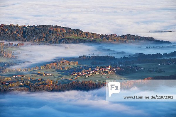 Wackersberg mit Morgennebel  Blick vom Geierstein bei Lenggries  Isarwinkel  Oberbayern  Bayern  Deutschland  Europa