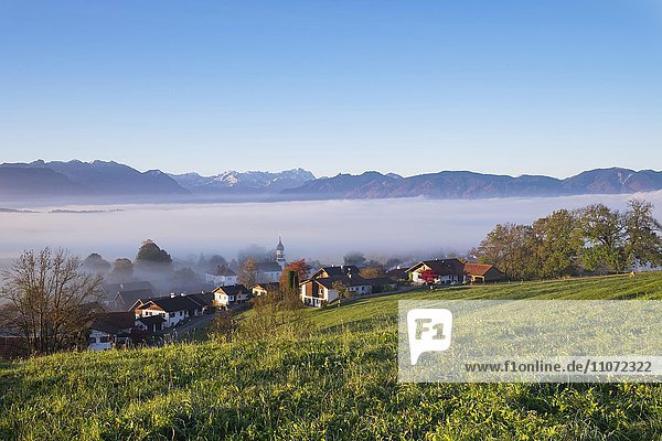 Aidling mit Nebel im Herbst  Aidlinger Höhe  Gemeinde Riegsee  hinten die Zugspitze  Pfaffenwinkel  Oberbayern  Bayern  Deutschland  Europa