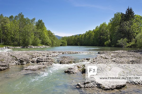 River Isar  Isarburg  Lenggries  Isarwinkel  Upper Bavaria  Bavaria  Germany  Europe