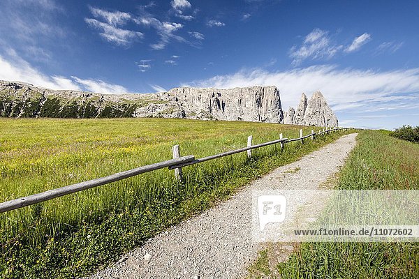 Seiser Alm im Naturpark Schlern-Rosengarten hinten Schlern mit den Felsspitzen Santner und Euringer  Dolomiten  Südtirol  Trentino-Südtirol  Italien  Europa