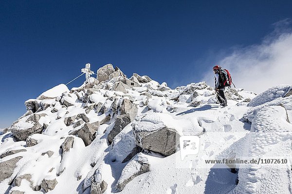 Bergsteiger beim Aufstieg auf den Löffler bei Schnee kurz vor dem Gipfel  Zillertaler Alpen  Ahrntal  Ahrntal  Pustertal  Südtirol  Trentino-Südtirol  Italien  Europa