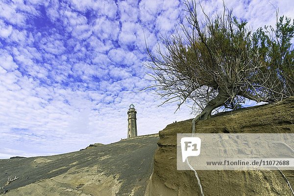 Leuchtturm  Faial  Azoren  Portugal  Europa