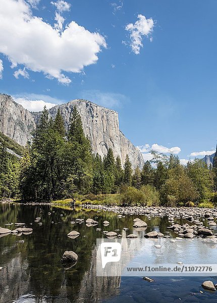 Valley view mit Blick zum El Capitan mit Fluss Merced river  Yosemite-Nationalpark  Kalifornien  USA  Nordamerika
