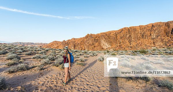 Frau wandert durch Wüste  Valley of Fire State Park  Nevada  USA  Nordamerika