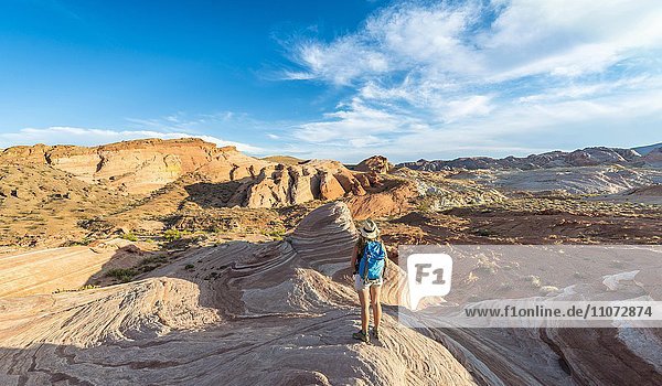 Tourist  hiker at the Fire Wave Sandstone Formation  behind Sleeping Lizard rock formation  Valley of Fire State Park  Nevada  USA  North America