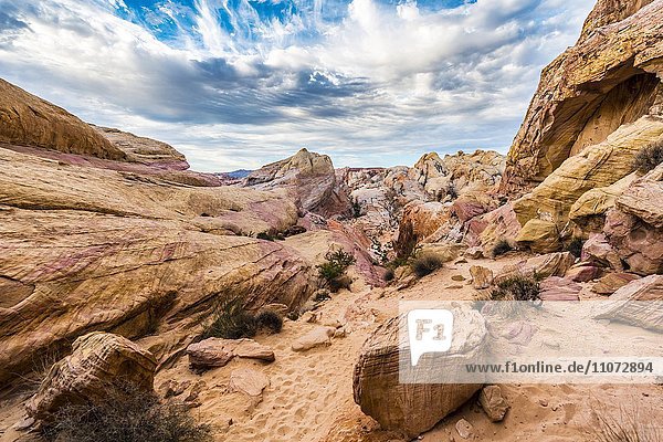 Rot orange Sandsteinfelsen  White Dome Trail  Wanderweg  Valley of Fire State Park  Mojave Wüste  Nevada  USA  Nordamerika