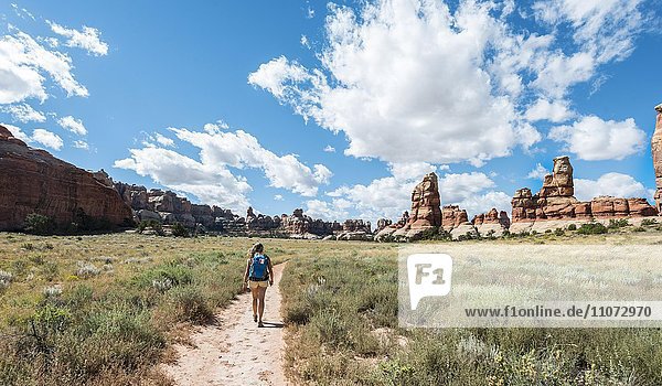 Hiker on a trail through rock formations  The Needles District  Canyonlands National Park  Utah  USA  North America
