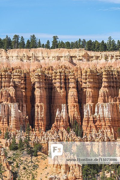 Farbige Gesteinsformationen  Hoodoos  Felsnadeln  Bryce Canyon Nationalpark  Utah  USA  Nordamerika