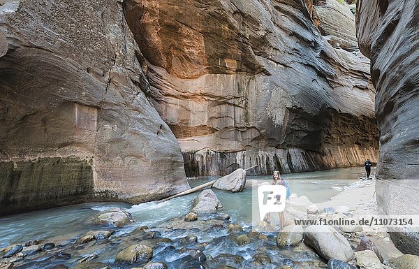 Wanderin steht im Fluss Zion Narrows Engstelle des Virgin River Steilwände des Zion Canyon Zion Nationalpark Utah USA Nordamerika