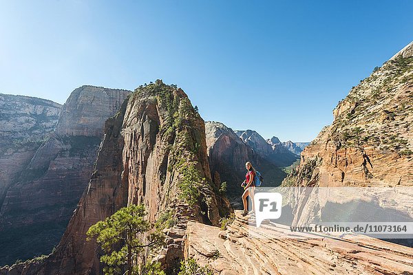 Wanderin bei Aussichtspunkt,  Angels Landing,  Zion Canyon,  Zion Nationalpark,  Utah,  USA,  Nordamerika