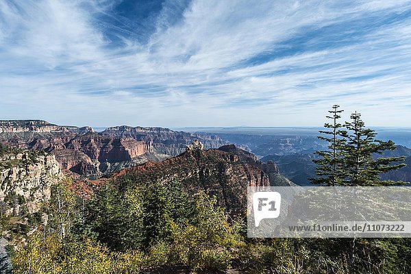 View of North Rim  Grand Canyon National Park  Arizona  USA  North America