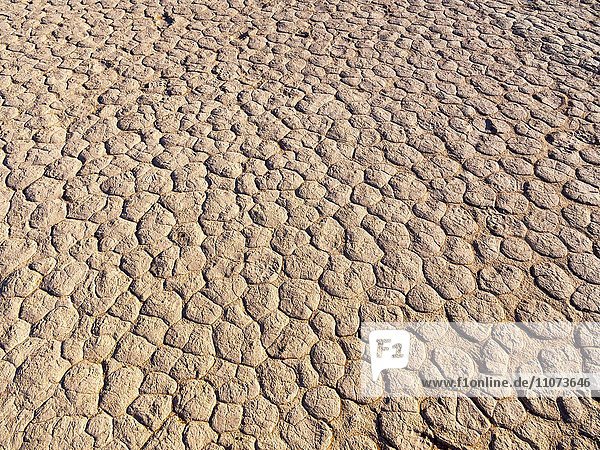 Ausgetrockneter Boden  Salztonpfanne  Dead Vlei  Sossusvlei  Namib-Wüste  Namib-Naukluft-Nationalpark  Namibia  Afrika