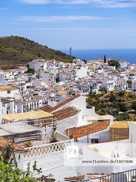Ausblick auf weiße Häuser in Frigiliana  Costa del Sol  Andalusien  Spanien  Europa