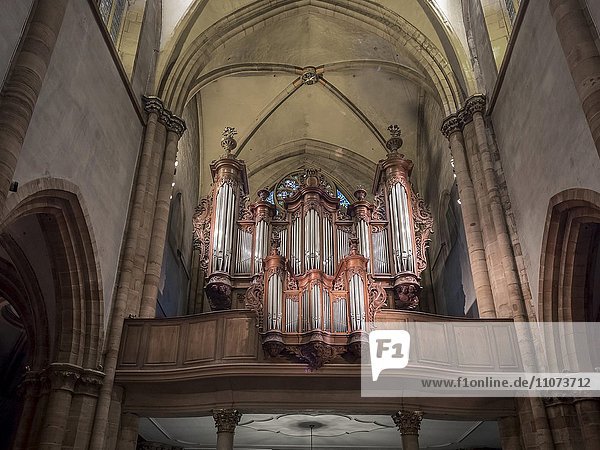 Orgelempore in der Stiftskirche St. Martin  Martinsmünster  Colmar  Elsass  Frankreich  Europa