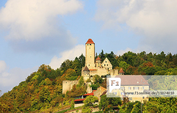 Burg Hornberg im Herbst  Neckarzimmern  Neckartal  Baden-Württemberg  Deutschland  Europa