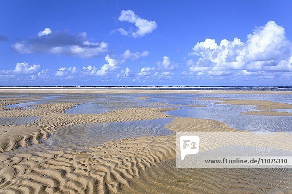 Sandy beach at low tide  wavy pattern  ripple marks  Juist  East Frisian Islands  Lower Saxony  Germany  Europe