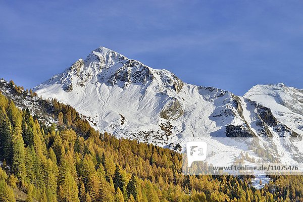 Schoberspitzen und Olperer  von Toldern Ausblick  Tirol  Österreich  Europa